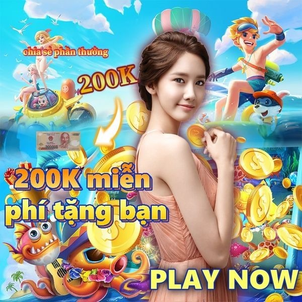 555win