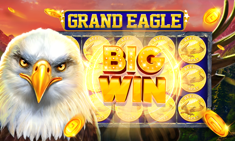 555win